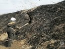 Жители Костромской области вопреки запретам начали сжигать траву