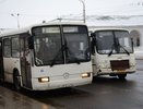 Новая система льготного проезда в Костроме: первые трудности