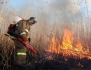 В Костромской области произошел первый лесной пожар