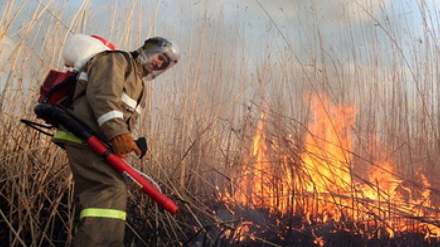 В Костромской области произошел первый лесной пожар