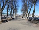 В Костроме установят новый арт-объект – большую паутину с пауком