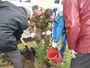 В Костромской области празднуют День работников леса