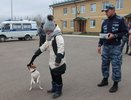 Перед школьниками похвастались своим мастерством четвероногие полицейские