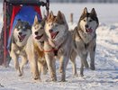 В Костромской области прошла уникальная экспедиция «Тропой Ивана Сусанина» (Репортаж Первого канала)