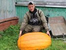 В Антроповском районе воры не смогли утащить тыкву-гиганта в 47 кг