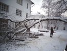 Снегопад и перепад температуры спровоцировал обрыв проводов и падение деревьев