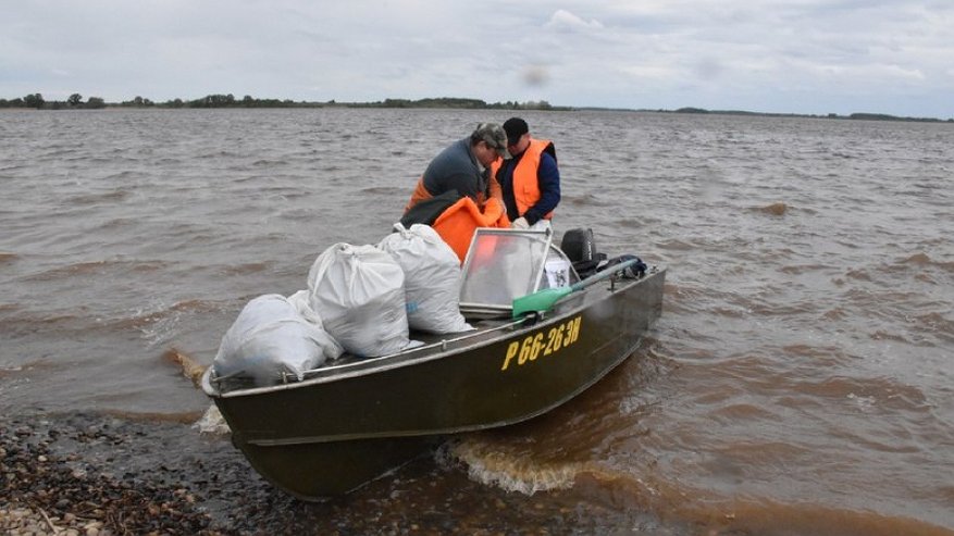 В День Волги костромичи вытащили из воды 500 кг мусора