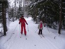 В Костроме открывается новая лыжная трасса