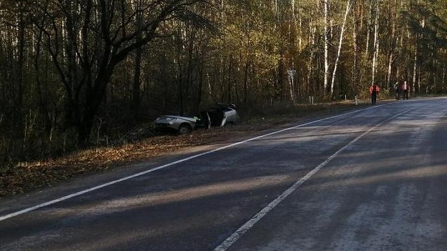 В Нерехтском районе легковушка врезалась в дерево: двое погибших