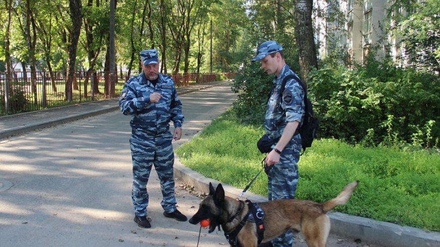 В Костроме провели практические занятия для кинологов