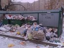 Управляющие компании плохо убирают Кострому от мусора