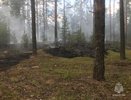 В Парфеньевском районе горит торфяник