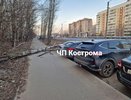 Сильный ветер успел нахулиганить и в Костроме