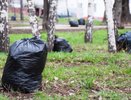 Сегодня костромские чиновники будут убирать город от мусора