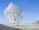 Костромич лишился денег, пытаясь вернуться домой на попутной машине