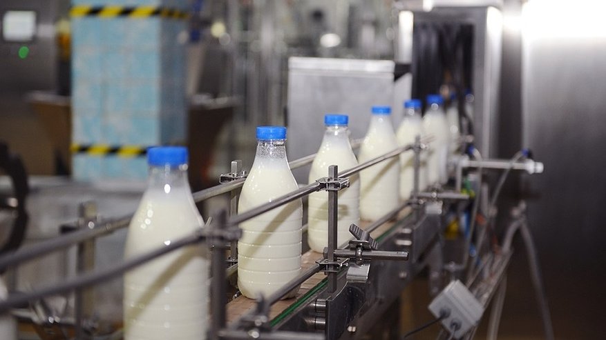 Власти региона будут поддерживать костромские хозяйства, производящие молоко