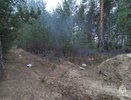 В Нейском районе произошел первый в этом году лесной пожар