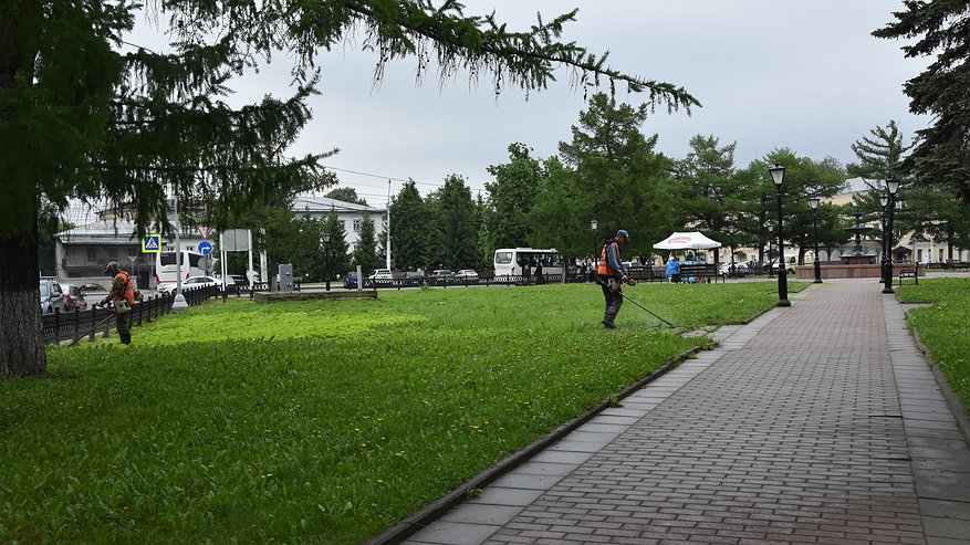 В Костроме запахло скошенной травой