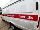 В Костроме за неделю клещи покусали более 800 человек