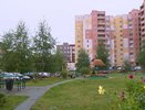 В Костромской области на благоустройство дворов выделено 210 млн рублей