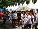 Более 15 тысяч костромичей уже посетили фестиваль сыра