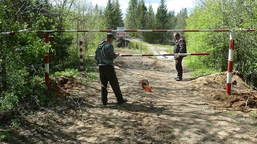 Жителям Костромской области запретили ходить в лес