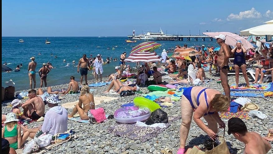 Главная картинка новости: Отпуск окончательно провален: отдыхающие из Геленджика и Анапы массово жалуются на новую напасть