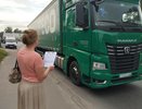 В Костроме оштрафовали более 200 водителей большегрузов