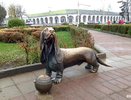 Бобка вернулся на свое законное место