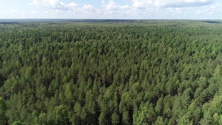 Главная картинка новости: Особый противопожарный режим в Костромской области отменен