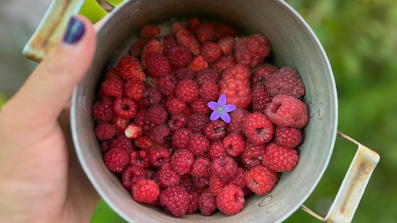 Главная картинка новости: Силин день: чего нельзя делать 12 августа, чтобы не столкнуться с голодом и финансовыми проблемами