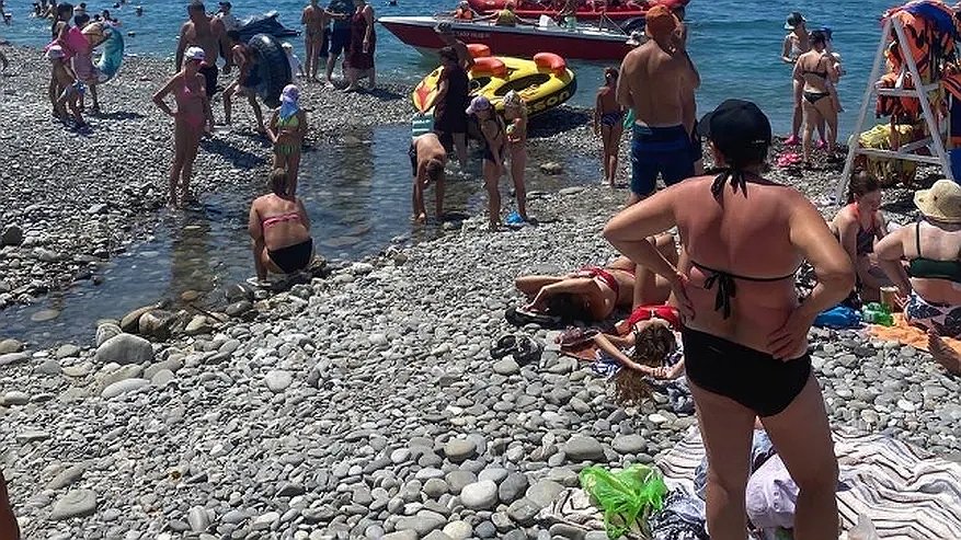 Главная картинка новости: Отпуск оказался окончательно провален: отдыхающие из Геленджика и Анапы массово жалуются на страшную напасть