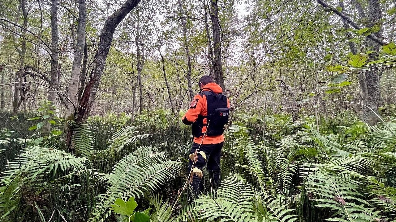 Главная картинка новости: В Нерехте ищут 70-летнего велосипедиста с помощью дрона
