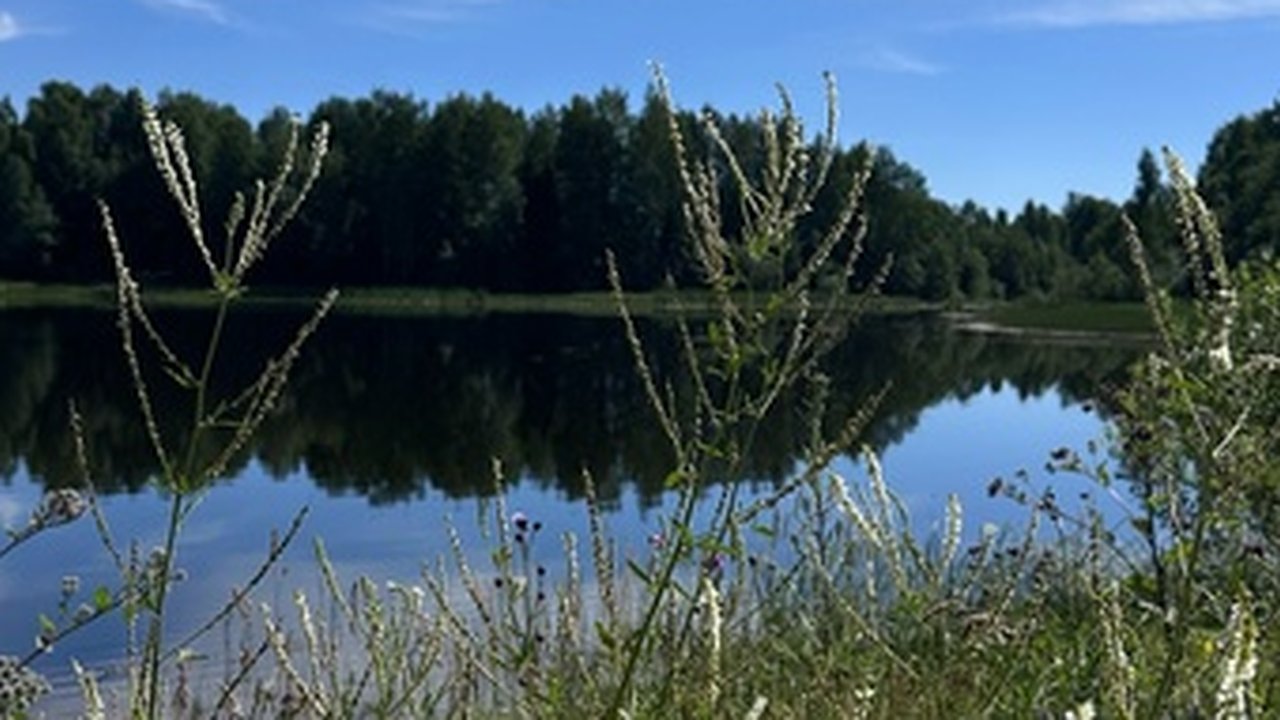 Главная картинка новости: Указ уже подписан и опубликован, теперь все решено: баню придется снести — касается всех, у кого есть дача или сад