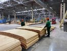Китай, Индия, Таиланд, Канада и другие страны стали покупателями костромской фанеры