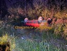 Под Костромой в ДТП пострадали пять человек
