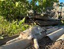 Бабье лето будет жарким: Вильфанд жестко озвучил новый прогноз на сентябрь