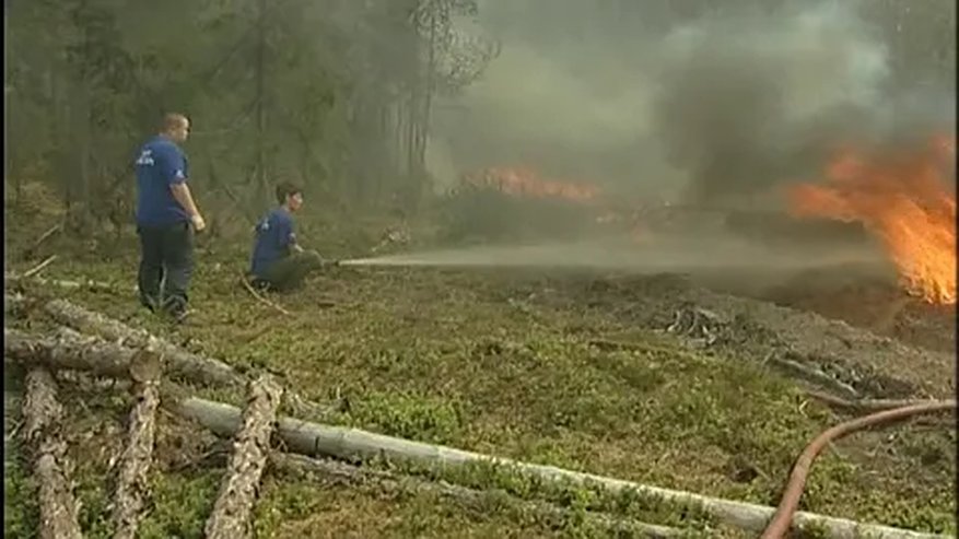 В Макарьевском районе ликвидируют лесной пожар