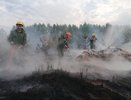 В Шарьинском районе начался крупный лесной пожар