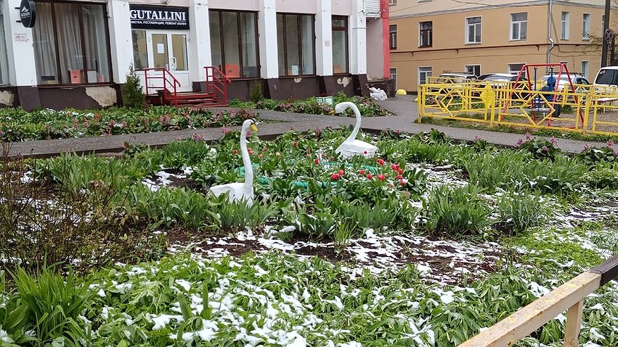 Главная картинка новости: Холод приходит неожиданно и не щадит: синоптик назвал точную дату конца лета