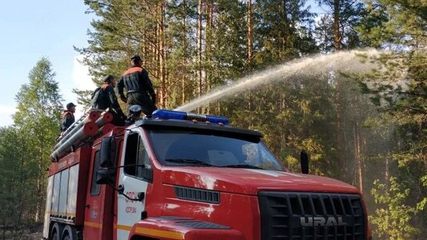 Главная картинка новости: В Поназыревском районе тушат лесной пожар