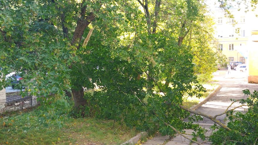 Главная картинка новости: В Костромской области 27 и 28 сентября ожидается сильный шторм