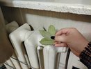 С первыми заморозками кладу лавровый лист на батарею и живу припеваючи: разницу замечает вся семья