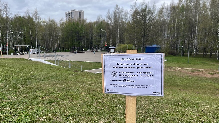 Главная картинка новости: Костромичей просят временно воздержаться от посещения двух кладбищ