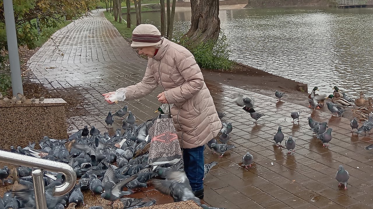 Главная картинка новости: Бабье лето ворвётся без стука, словно долгожданный гость: синоптики рассказали, когда ждать внезапного тепла