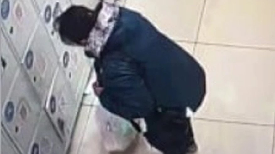 Главная картинка новости: В Костроме разыскивают женщину, которая украла кроссовки из камеры хранения