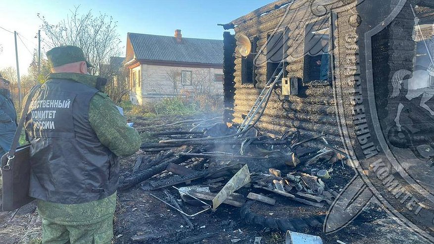 Главная картинка новости: В Костромской области при пожаре погибли три человека