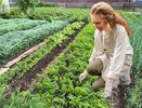 Присыпаю осенью вокруг кустов, хватает на зиму: клубника весной растет как на дрожжах после подкормки