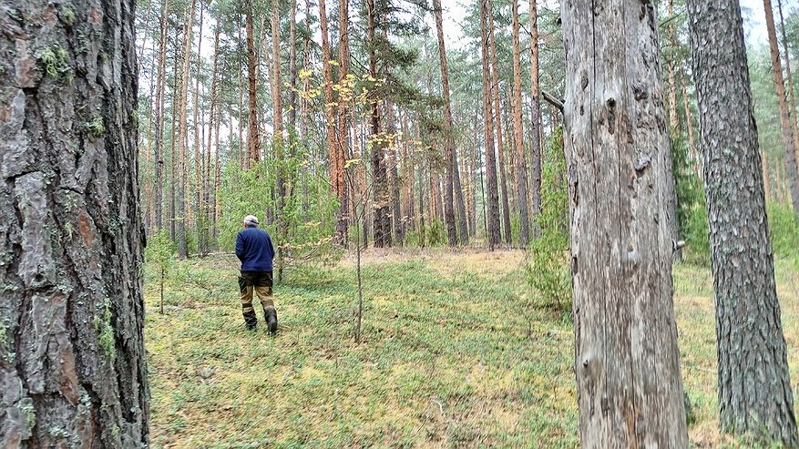 До пяти лет лишения свободы: в Костроме полицейские вышли на браконьера по гильзам