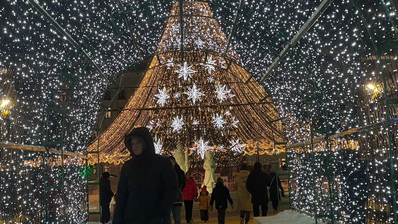 Главная картинка новости: Выходные передвинут из-за обстановки в стране: новогодние каникулы уже не будут прежними